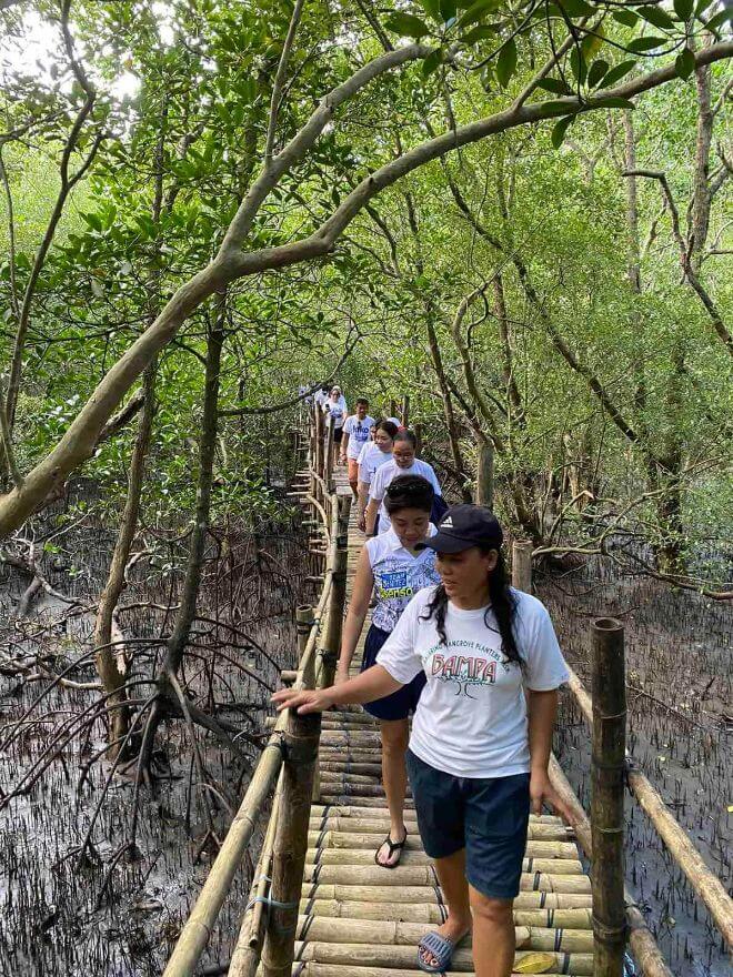 Metro Third District Office staff Joins Mangrove Planting - Cong. Dr ...